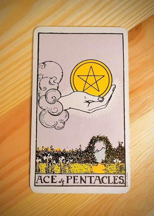 ace of pentacles tarot card with pine wood background